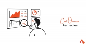 Identify and Rectify Budget Overruns Issue in Development Projects Identify and Rectify Budget Overruns Issue in Development Projects